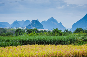 山东济南艺术学校怎么样