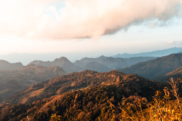 济宁呐唯是什么公司
